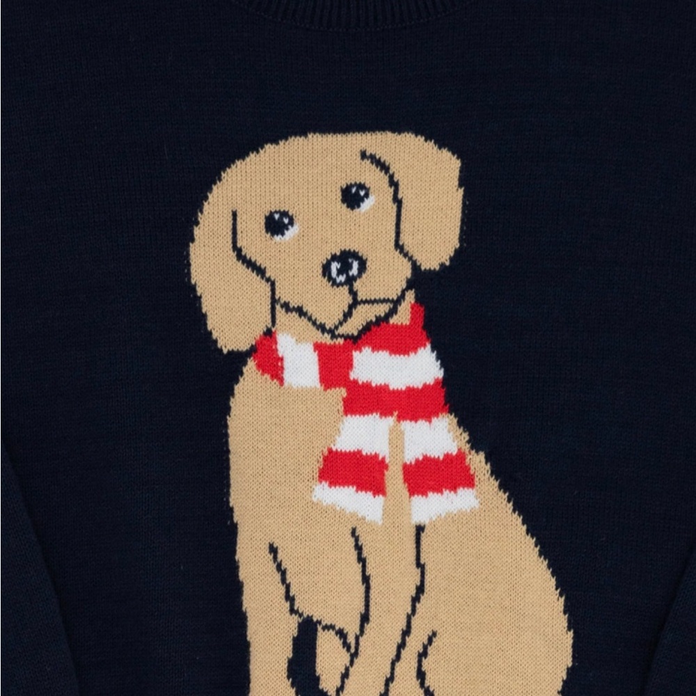 The Beaufort Bonnet Company Navy Dog Sweater with Red and White Scarf